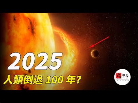 2025年是什麼年